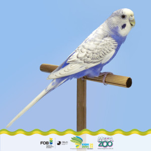 Penazul Aviário